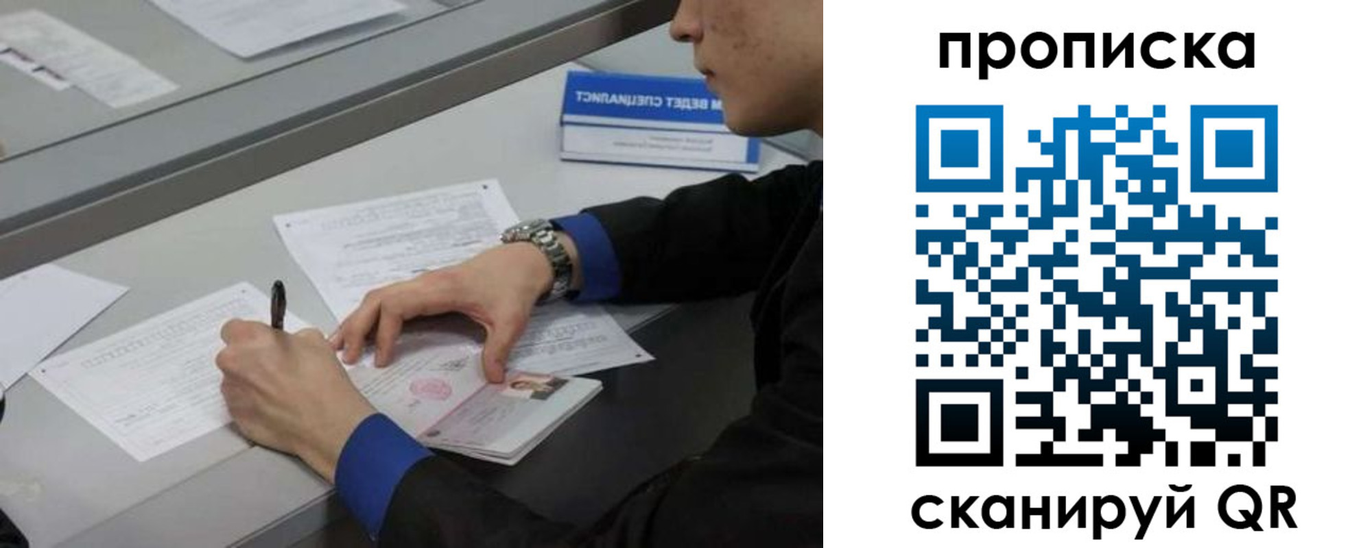 прописка для школы в Светогорске